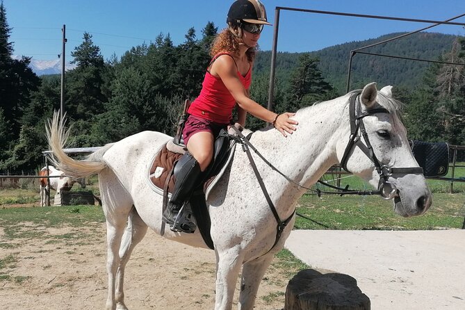 Rila National Park Horse Riding Adventure - From pine forest to meadows and rivers