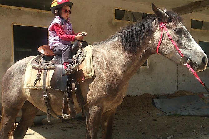 Rila National Park Horse Riding Adventure - How the ride works for beginners