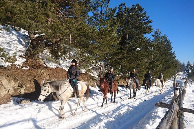 Rila National Park Horse Riding Adventure - The horses and the guide’s role