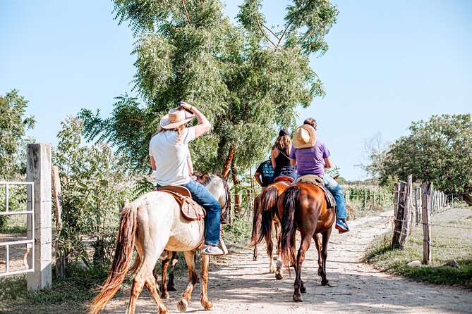 River Trail Horseback Riding Adventure - How much value do you get?