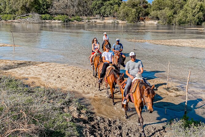 River Trail Horseback Riding Adventure - Who should book this ride?
