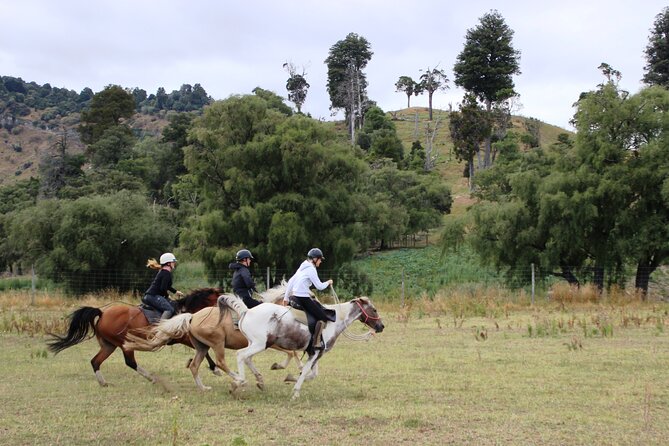 River Valley Stables - Burn The Breeze, Half Day Horse Ride For Riders - A three-hour ride made for confident riders