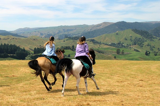 River Valley Stables - Burn The Breeze, Half Day Horse Ride For Riders - What natural horsemanship adds to the experience