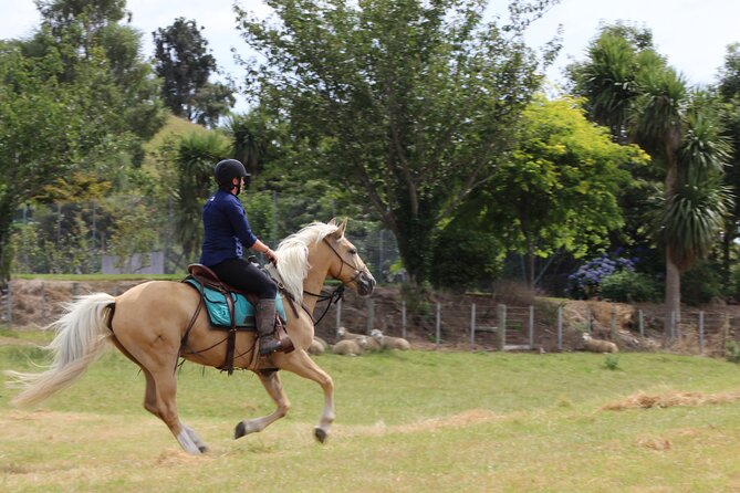 River Valley Stables - Burn The Breeze, Half Day Horse Ride For Riders - Small groups make a real difference