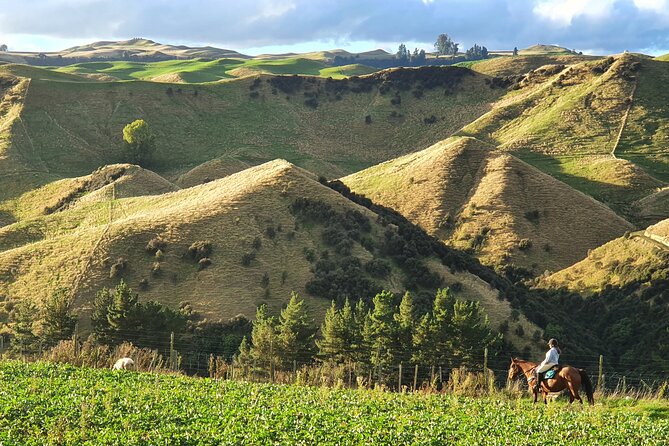 River Valley Stables - Burn The Breeze, Half Day Horse Ride For Riders - Who should book Burn the Breeze?