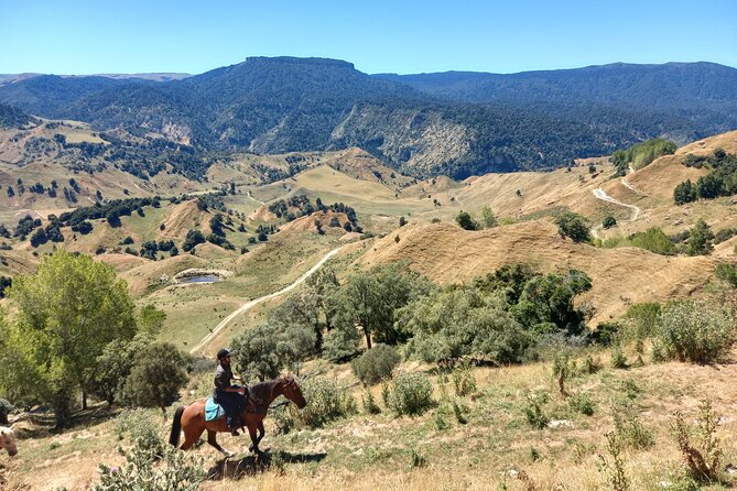River Valley Stables - Burn The Breeze, Half Day Horse Ride For Riders - Building trust before heading into the hills