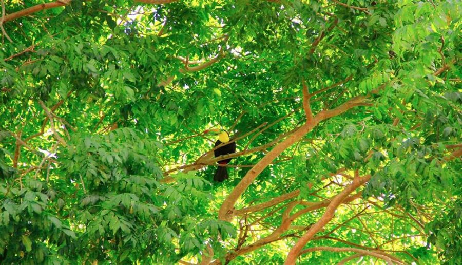 Riviera Maya: Horseback Riding at Rancho Bonanza - Key points to know before booking