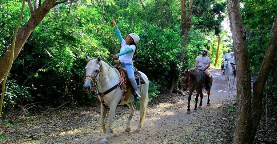 Riviera Maya: Horseback Riding at Rancho Bonanza - What you see along the jungle route