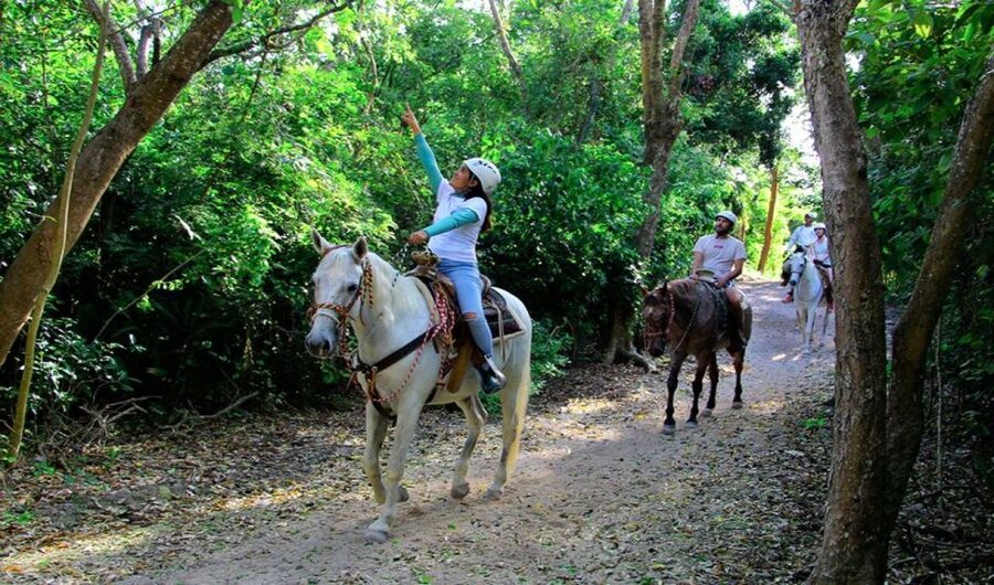 Riviera Maya: Horseback Riding at Rancho Bonanza - Who will enjoy Rancho Bonanza most