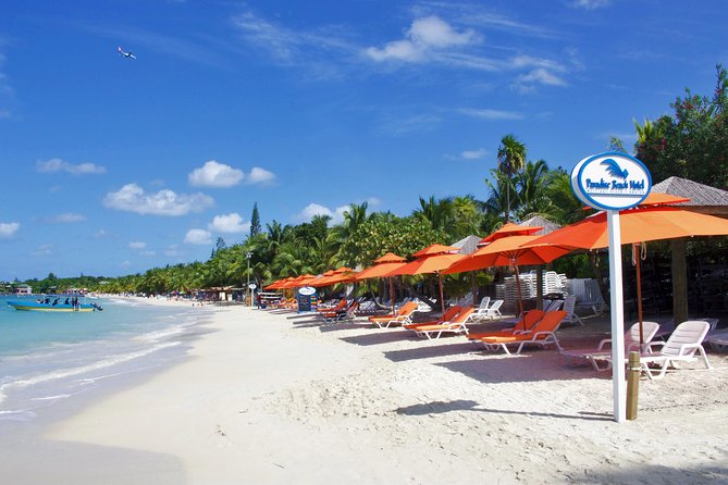 Roatan Excursion: Horseback Ride / Plus Sloth Park and Beach Break - Meeting your driver outside Mahogany Bay