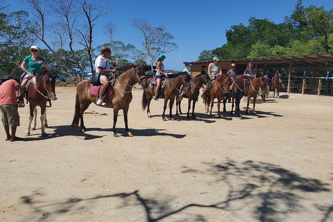 Roatan Excursion: Horseback Ride / Sloths park / Snorkel With Beach Break - The animal park brings the biggest smiles