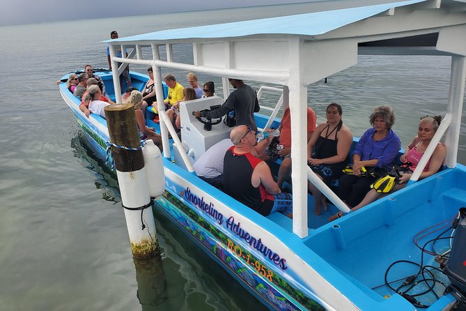 Roatan Excursion: Horseback Ride / Sloths park / Snorkel With Beach Break - Horseback riding is shorter than the wording suggests