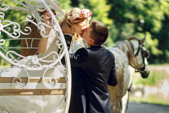 Romantic Proposal Carriage Tour in Central Park - Why the private carriage setup matters