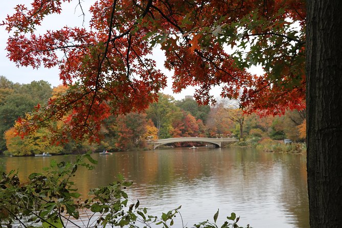 Romantic Proposal Carriage Tour in Central Park - Bethesda Fountain and the Angel of the Waters