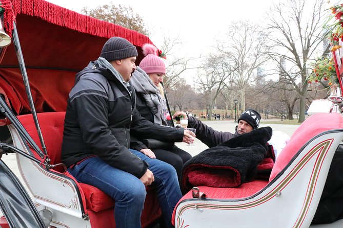 Romantic Proposal Carriage Tour in Central Park - Guide Louis and the value of local context