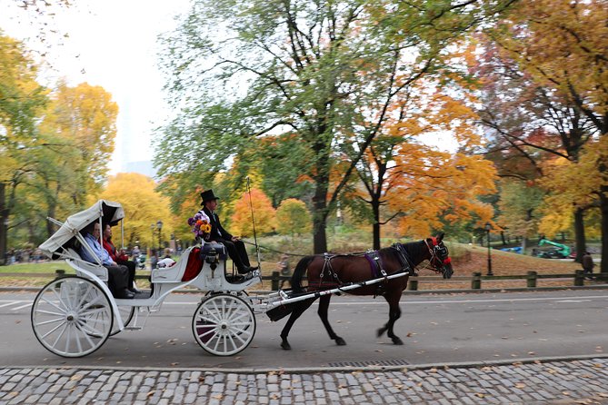 Romantic Proposal Carriage Tour in Central Park - Timing, weather, and practical limits