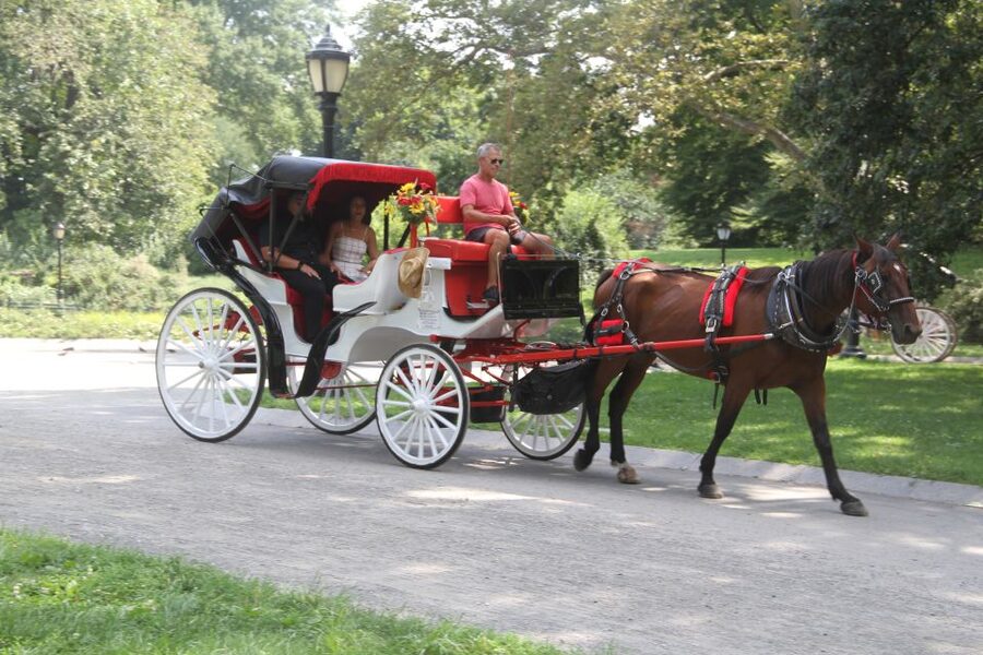 Romantic/Proposal Central Park Carriage Tour Up to 4 Adults - Key points to know before you book