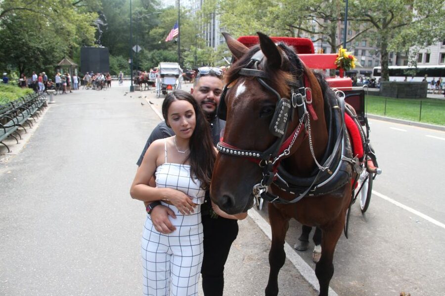 Romantic/Proposal Central Park Carriage Tour Up to 4 Adults - Why a Central Park carriage ride works for a proposal