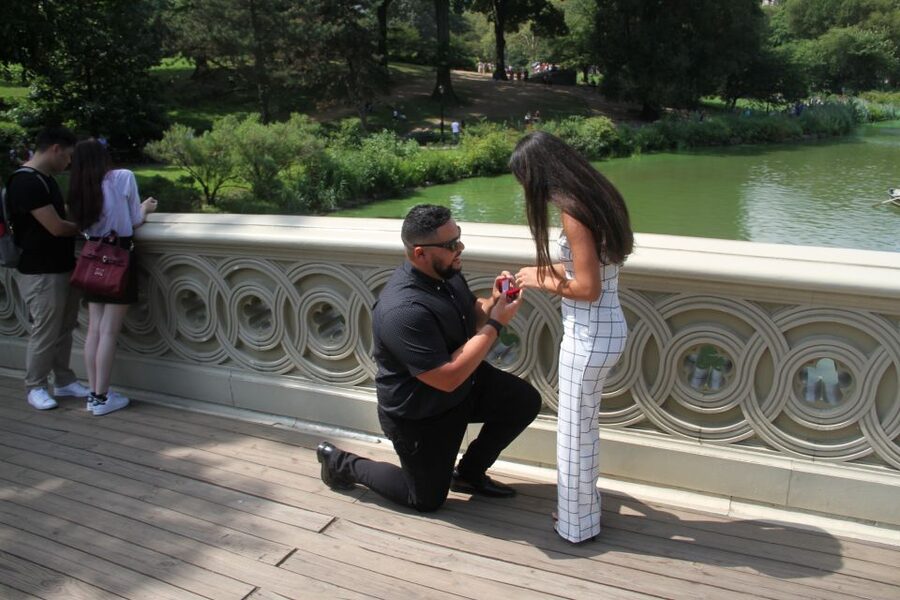 Romantic/Proposal Central Park Carriage Tour Up to 4 Adults - Inside the roofed horse carriage