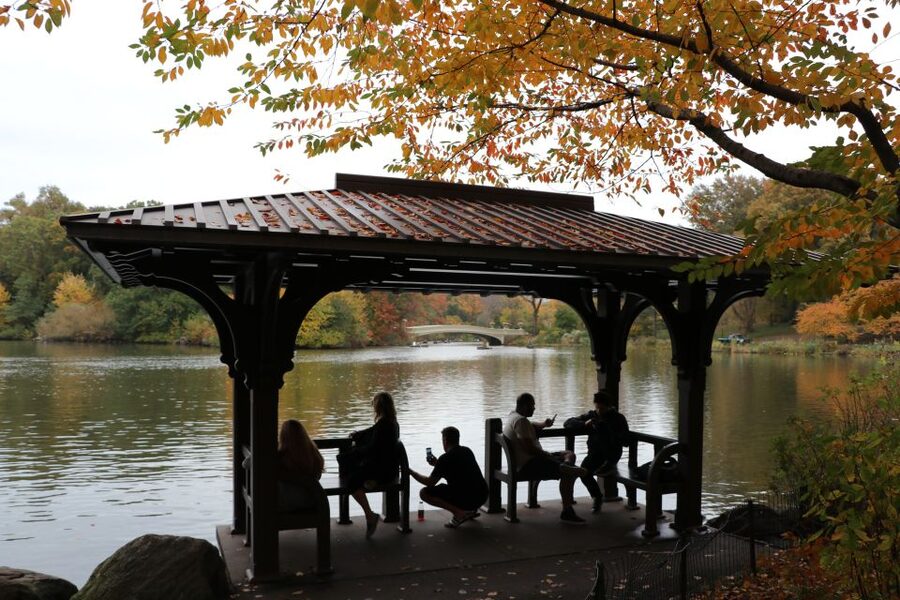 Romantic/Proposal Central Park Carriage Tour Up to 4 Adults - Bow Bridge, the classic proposal stop