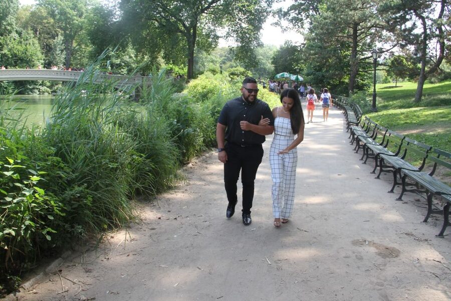 Romantic/Proposal Central Park Carriage Tour Up to 4 Adults - Bethesda Fountain and Terrace for a grander setting