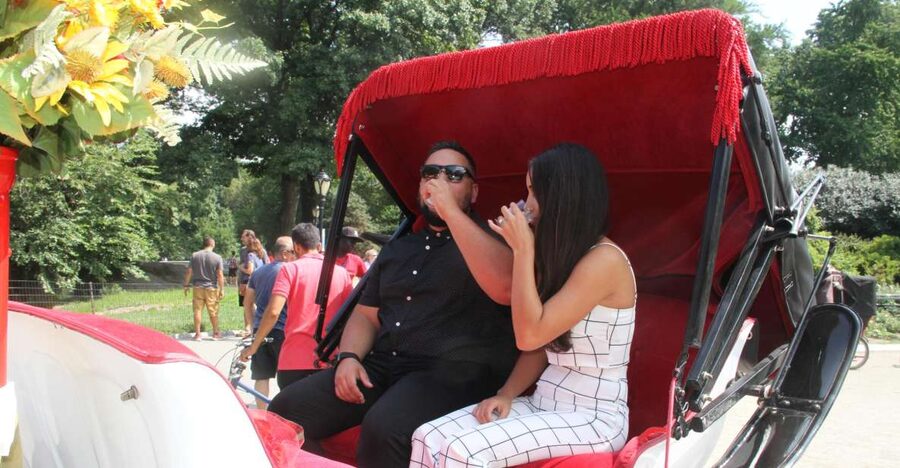 Romantic/Proposal Central Park Carriage Tour Up to 4 Adults - Champagne, roses, and the small details