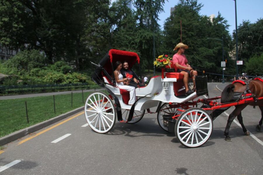 Romantic/Proposal Central Park Carriage Tour Up to 4 Adults - What the 50-minute route gives you