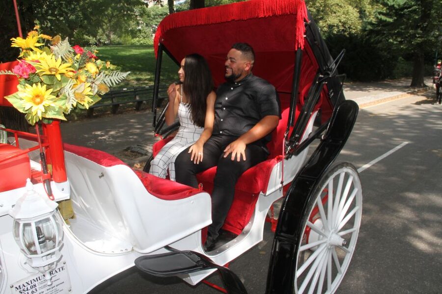 Romantic/Proposal Central Park Carriage Tour Up to 4 Adults - Meeting the carriage near the José Julián Martí Statue