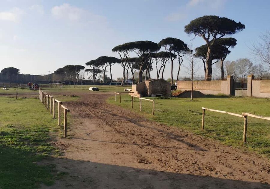 Rome: Horseback Riding Experience in Castel Fusano - From Rome’s streets to Castel Fusano’s pines