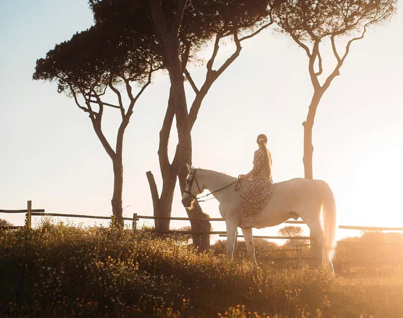 Rome: Horseback Riding Experience in Castel Fusano - Meeting your horse before the ride