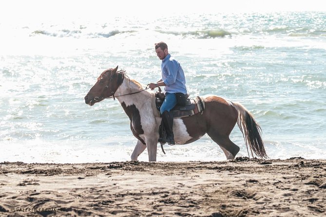 Rome: Horseback Riding on the Beach with aperitif - From Cavalieri di Gaia into Rome’s coastal countryside