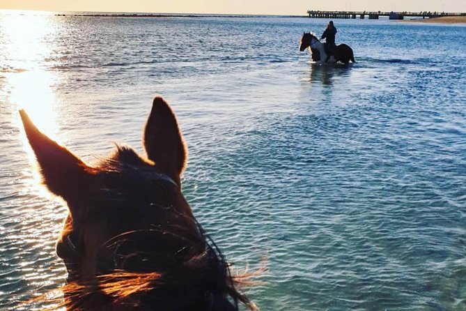 Rome: Horseback Riding on the Beach with aperitif - Private tour claims and day-to-day organization