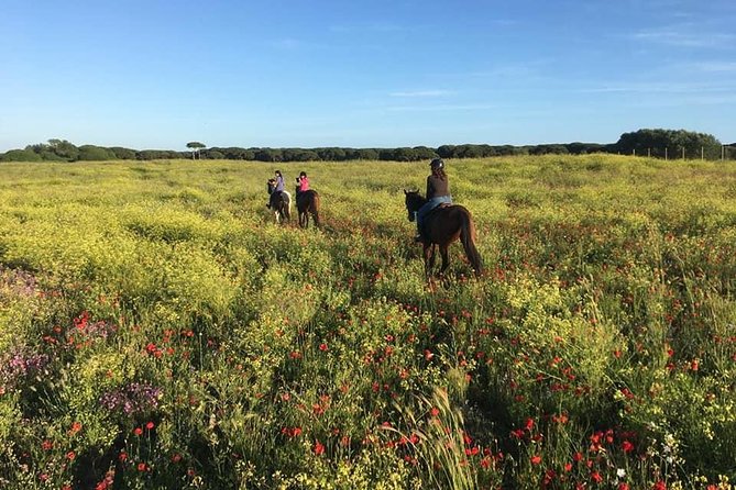 Rome: Horseback Riding on the Beach with aperitif - Is $299.57 a fair price?
