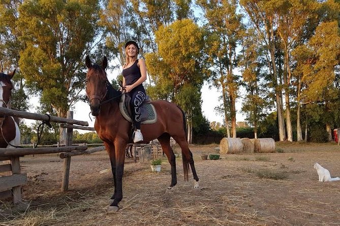Rome : Horseback Riding with meals and wine included - How private guiding changes the ride