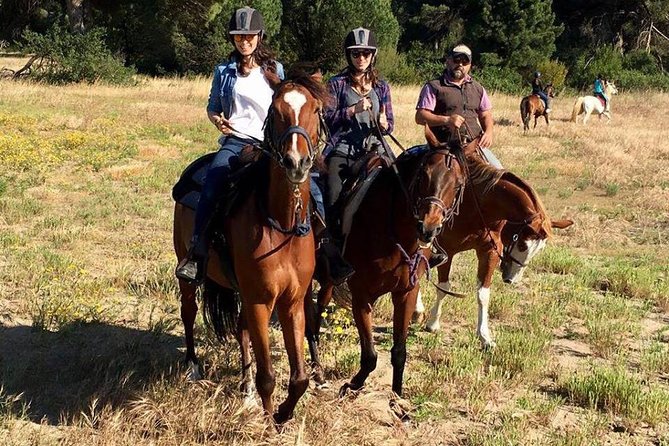 Rome : Horseback Riding with meals and wine included - Is $165.06 a fair price?