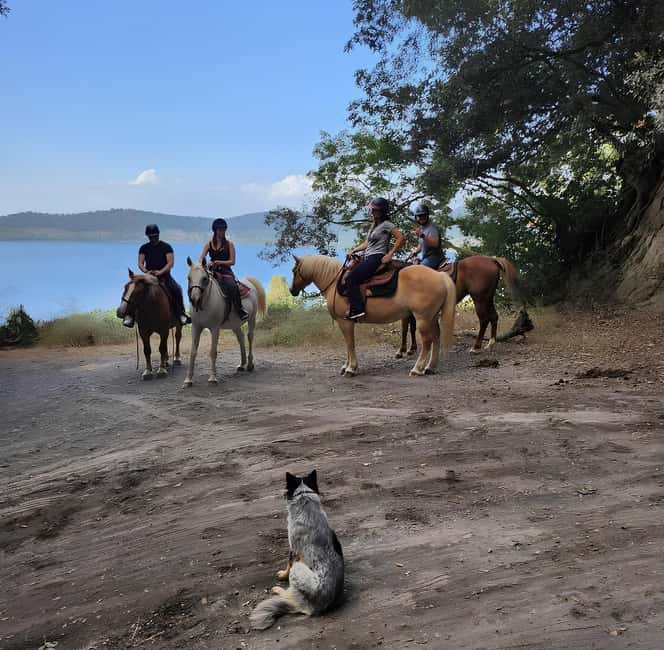 Rome: Lake Martignano Horseback Ride with Guide - Following the wooded paths and gentle hills