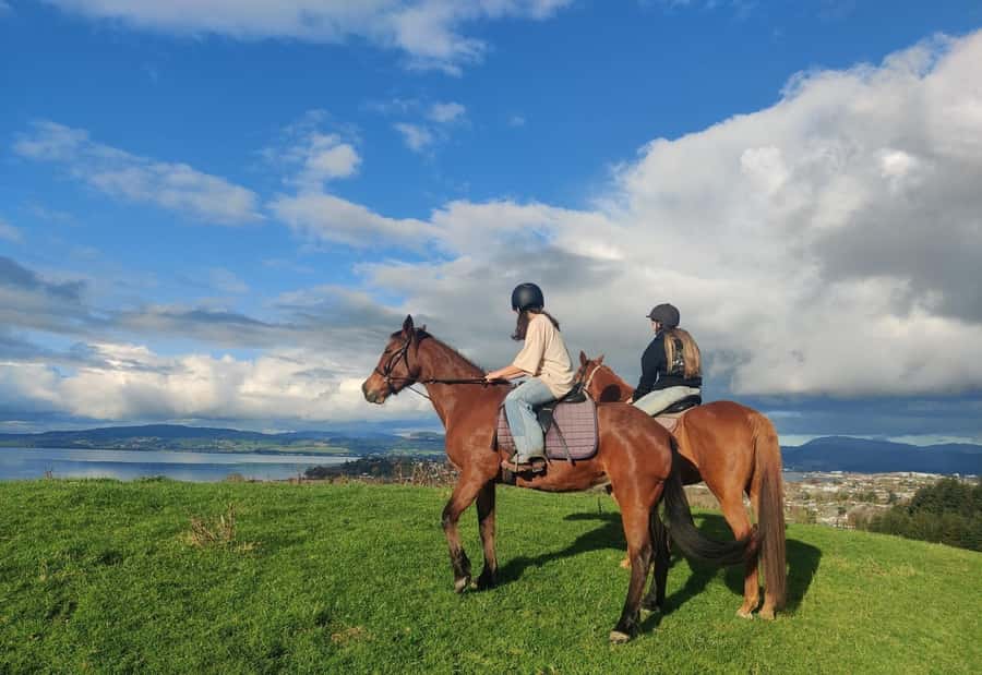 Rotorua: Scenic Horse Trek - What the one-hour Rotorua horse trek is really like
