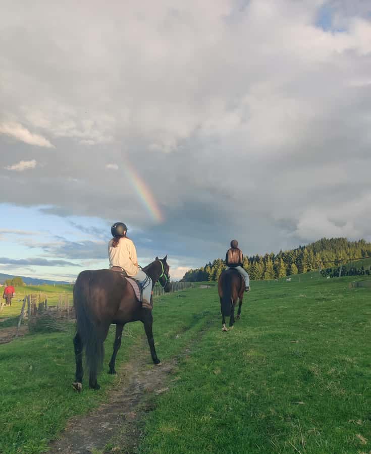 Rotorua: Scenic Horse Trek - Starting at Adventure Playground