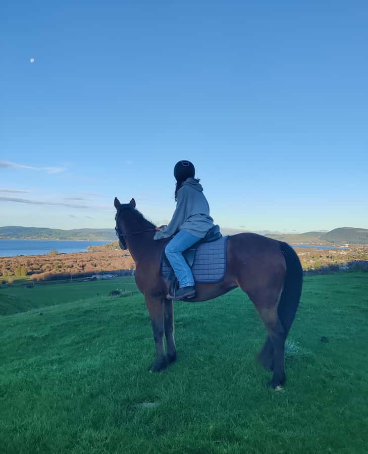 Rotorua: Scenic Horse Trek - Riding through the farmland near Mt Ngongotaha