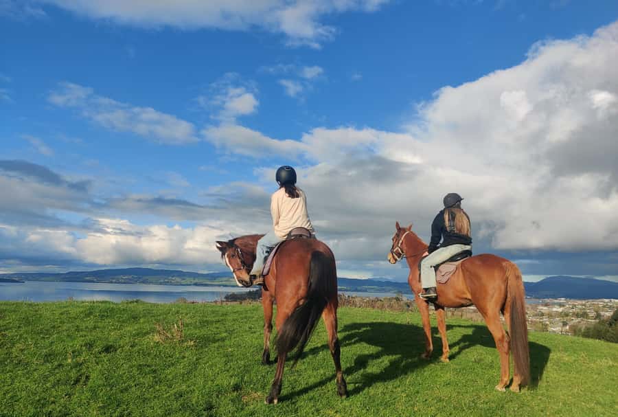 Rotorua: Scenic Horse Trek - Getting matched with the right horse