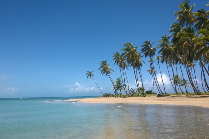 Round Mountain + Beach + Horse + Lunch - Is $125 a fair price from Punta Cana?