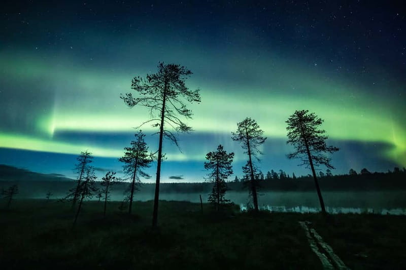 Rovaniemi: Horse Sleigh Ride under the Night Sky - Key points to know before booking
