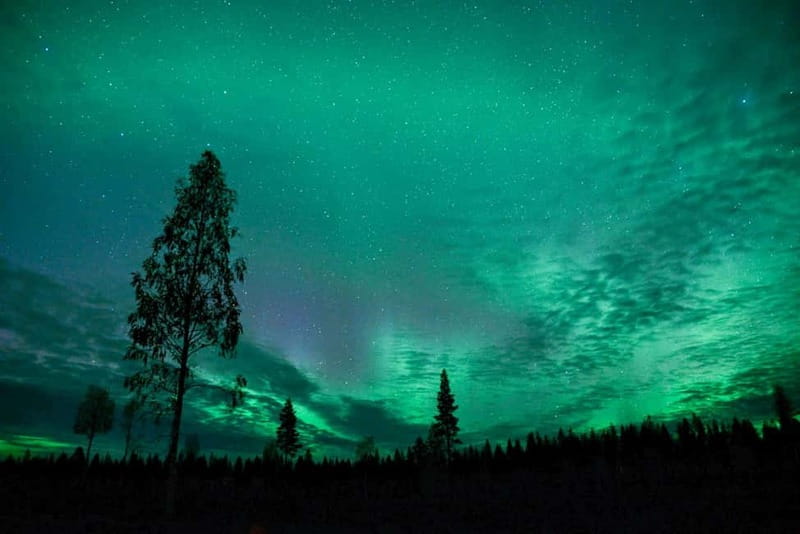 Rovaniemi: Horse Sleigh Ride under the Night Sky - Settling into a six to eight person sleigh
