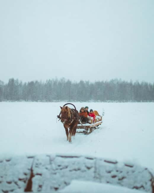 Rovaniemi: Horse Sleigh Ride under the Night Sky - Small details that improve the evening