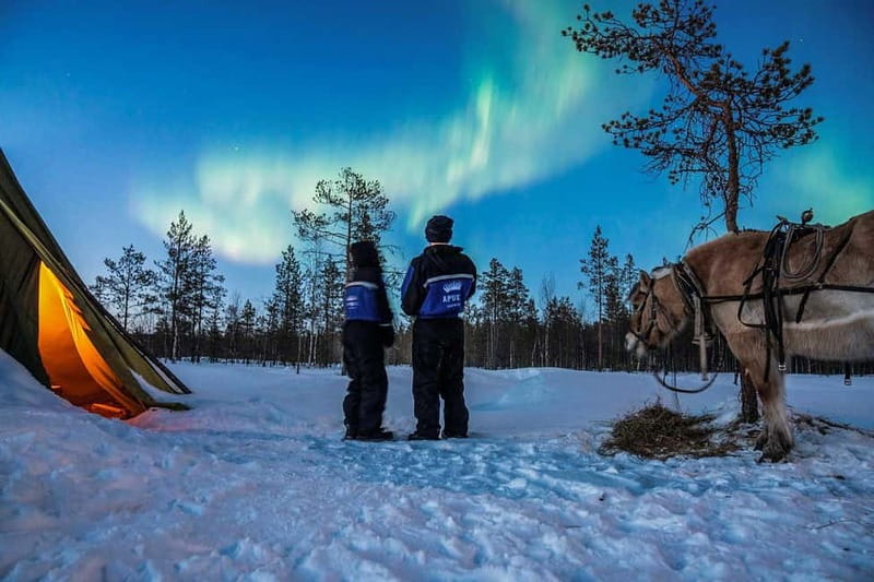 Rovaniemi: Horse Sleigh Ride under the Night Sky - Getting to Apukka Resort from Rovaniemi