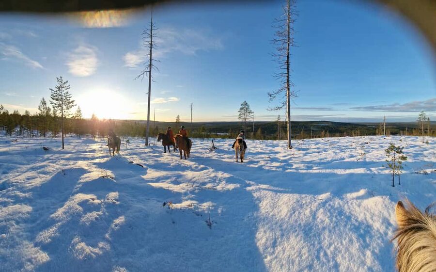 Rovaniemi: Winter Horseback Ride on Snowy Hills and Forests - A quiet ride beyond Rovaniemi