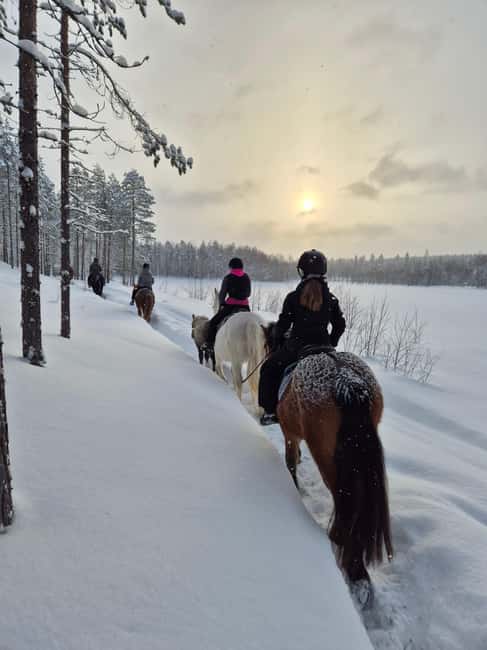 Rovaniemi: Winter Horseback Ride on Snowy Hills and Forests - The riding introduction comes first