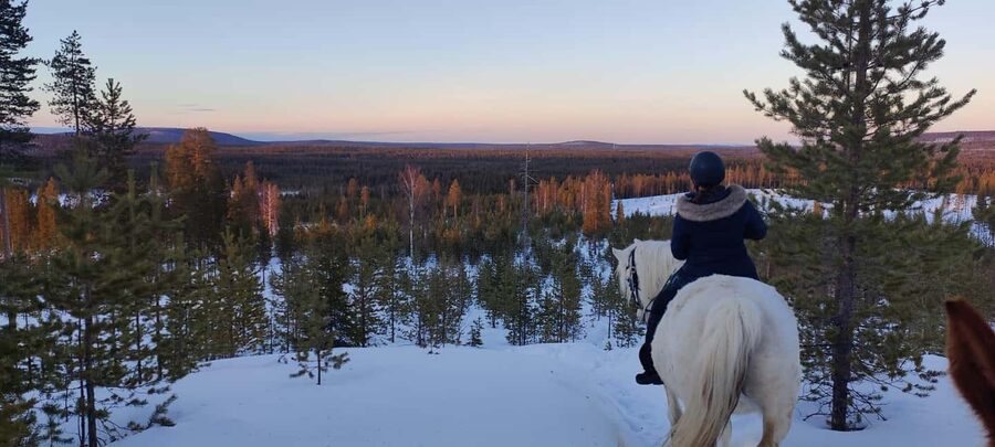Rovaniemi: Winter Horseback Ride on Snowy Hills and Forests - What the small group changes