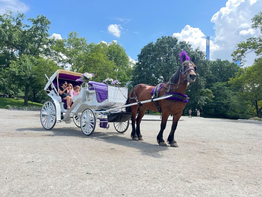 Royal Carriage Ride in Central Park NYC - Key points to know before booking