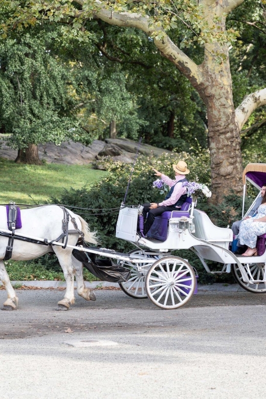 Royal Carriage Ride in Central Park NYC - Guide languages and accessibility